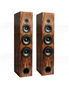 CSS Criton 3TD-X Tower Speaker Kit