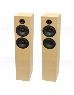 CSS Criton 2TD-X Tower Speaker Kit with LD25X