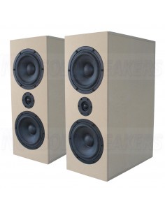 CSS Criton 2TD MTM Speaker Kit with LD22