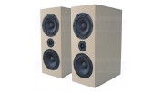 CSS Criton 2TD MTM Speaker Kit with LD22