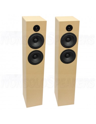 CSS Criton 2TD Tower Speaker Kit with LD22