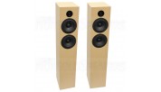 CSS Criton 2TD Tower Speaker Kit with LD22