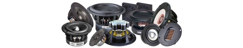 speakers chassis