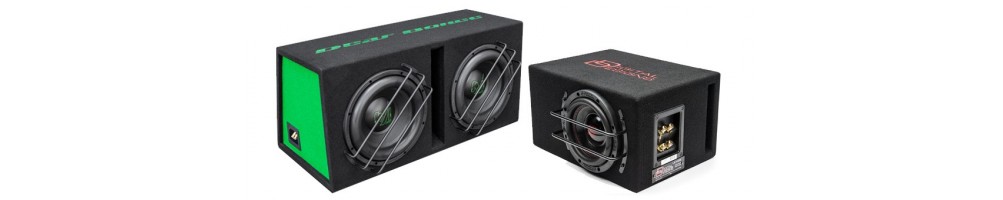 Subwoofer in box for car